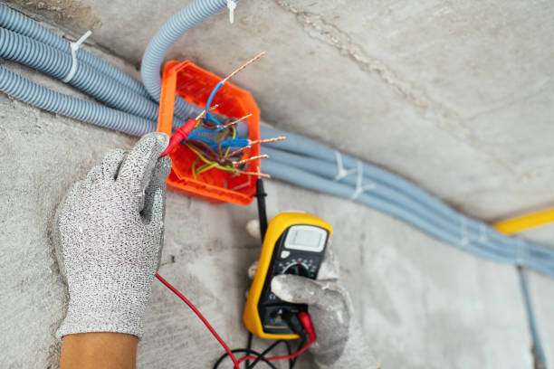Best Local Electrician Companies  in Rice Lake, WI